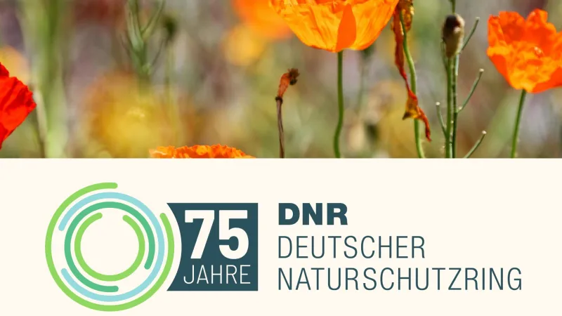 https://feature-new-deploy-ovh.dnr.ovh.stage.gooddev.de/branches/feature-new-deploy-ovh/sites/default/files/styles/crop_16_9/public/2025-06/75jahrednr-sharepic_01bearb.jpg.webp?VersionId=1784754169.596022&h=b42a22dc&itok=EfJ9MvHd